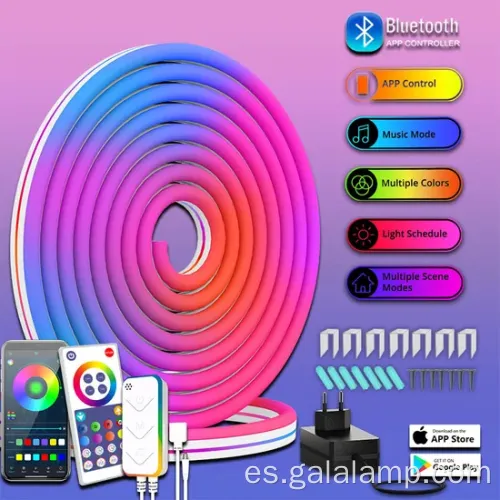 Wifi Smart RGBic Neon Light para decoración del hogar